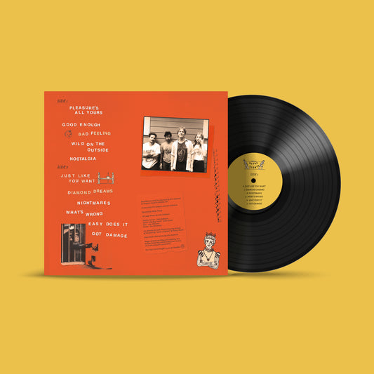 Pleasure's All Yours - Vinyl LP - PREORDER